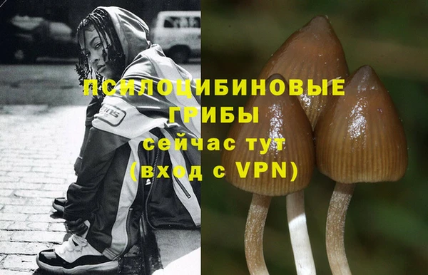 мяу мяу мука Зеленокумск